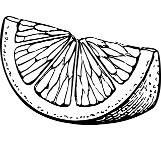 Natural Pharmaceuticals OmegaMarine™ Premium Must-valge joonis sidruniviilust, millel on nähtav viljaliha ja koore tekstuur.